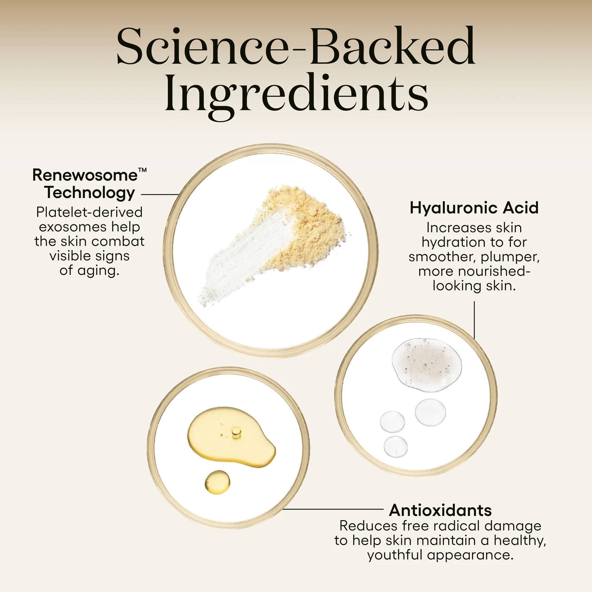 plated)™ INTENSE Serum – La Suite Skincare